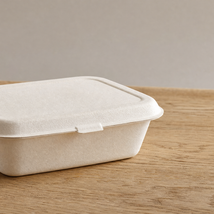 White sugarcane bagasse fibre food container on a light wood surface, soft natural daylight, PFAS-free moulded fibre packaging