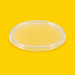 Clear PET flat lid for round deli containers, on yellow
